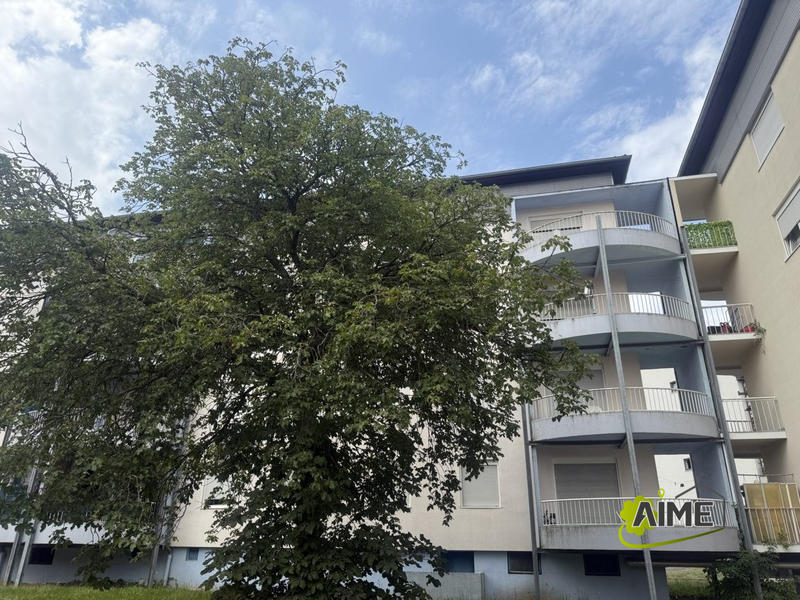 Appartement - 55 m² - 3 pièces