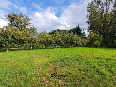 Pavillon - 96 m² - 5 pièces