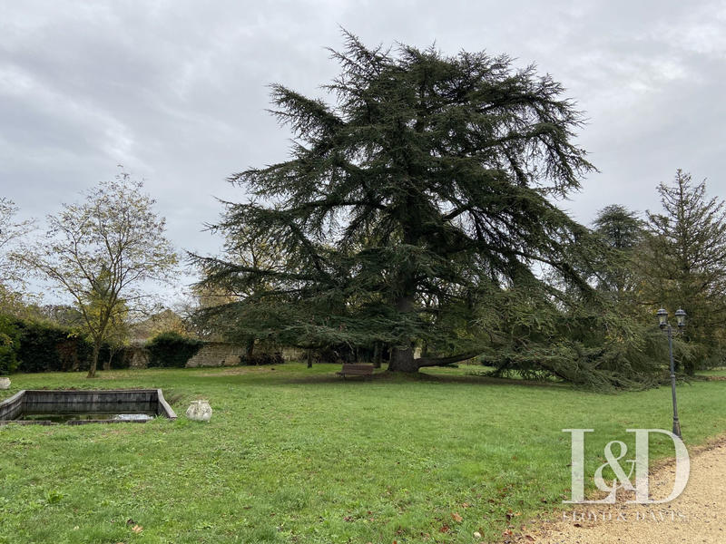 Maison - 295 m² - 10 pièces