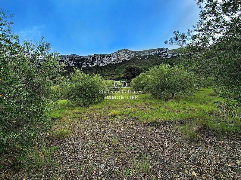 Terrain agricole - 51 314 m²