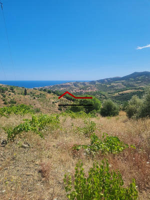 Terrain agricole - 11 820 m²