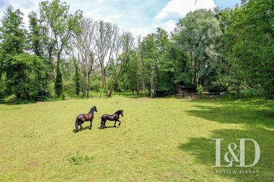 Maison - 310 m² - 14 pièces