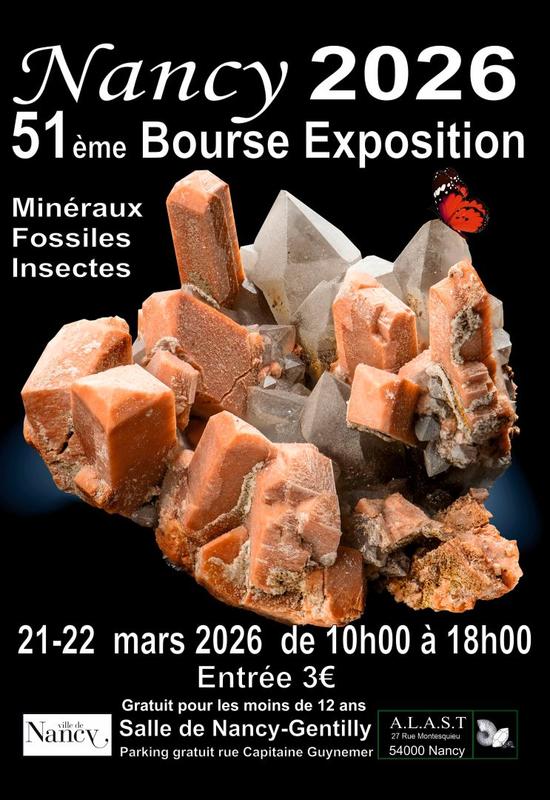 Bourse - Exposition de Minéraux Fossiles et Insectes - 51ème édition