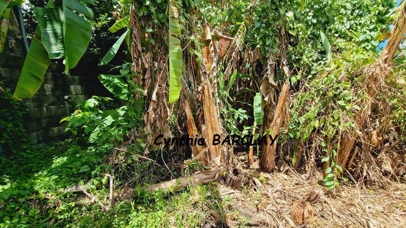 Maison - 59 m² - 3 pièces