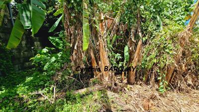 Maison - 59 m² - 3 pièces