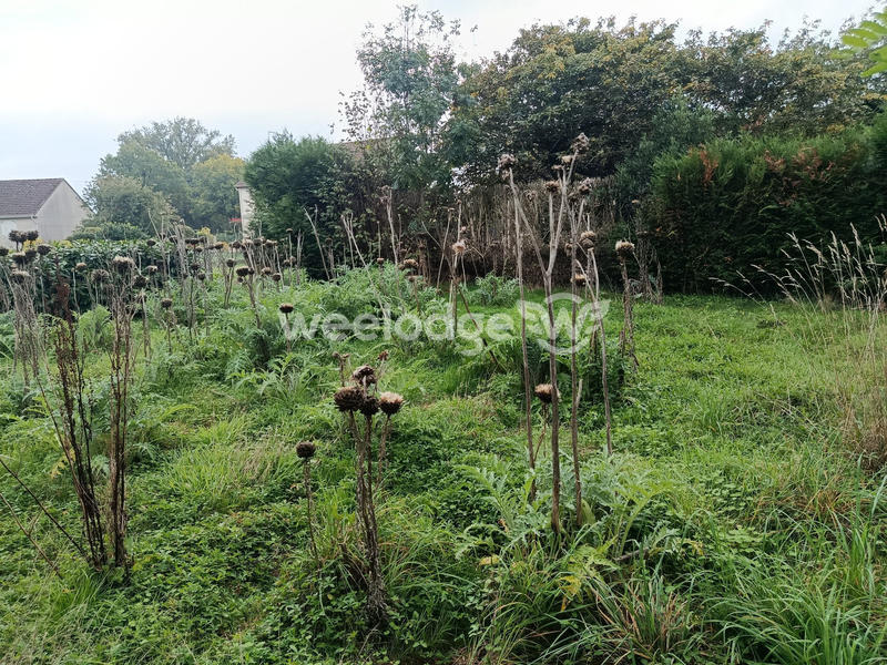 Maison - 143 m² - 7 pièces