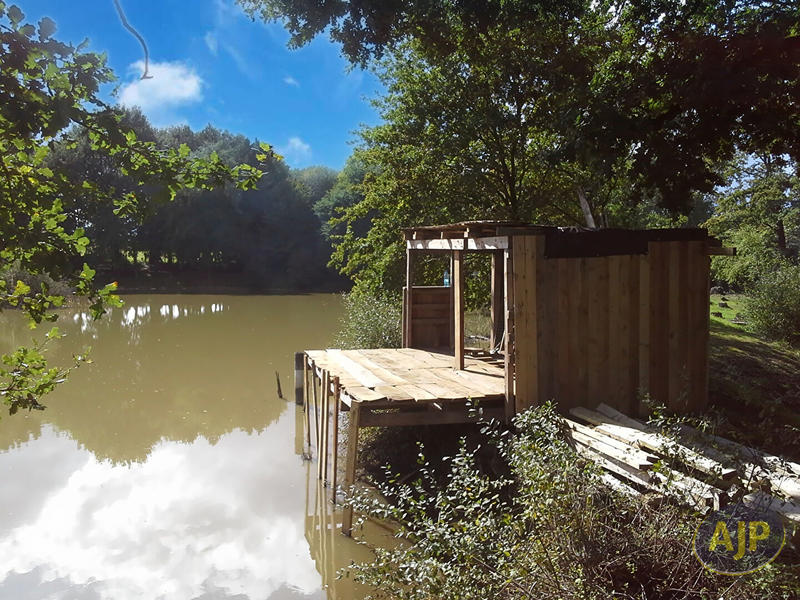 Terrain - 11 796 m²