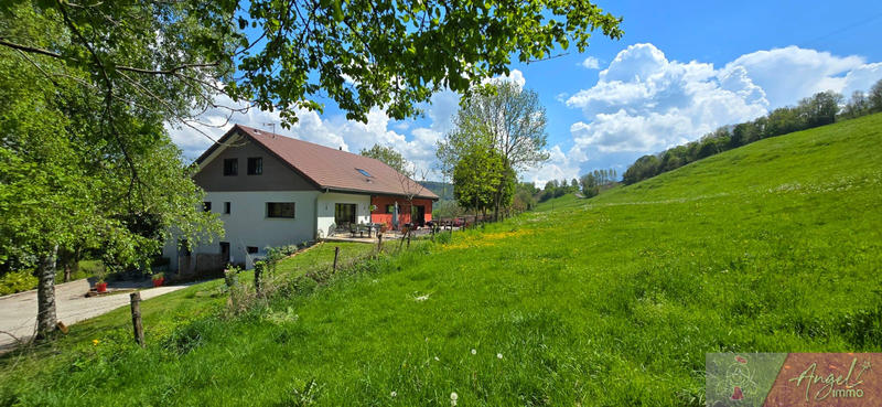 Maison - 382 m² - 14 pièces