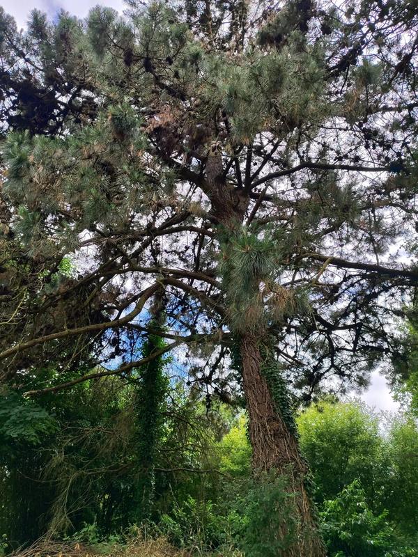 Maison traditionnelle - 92 m² - 4 pièces