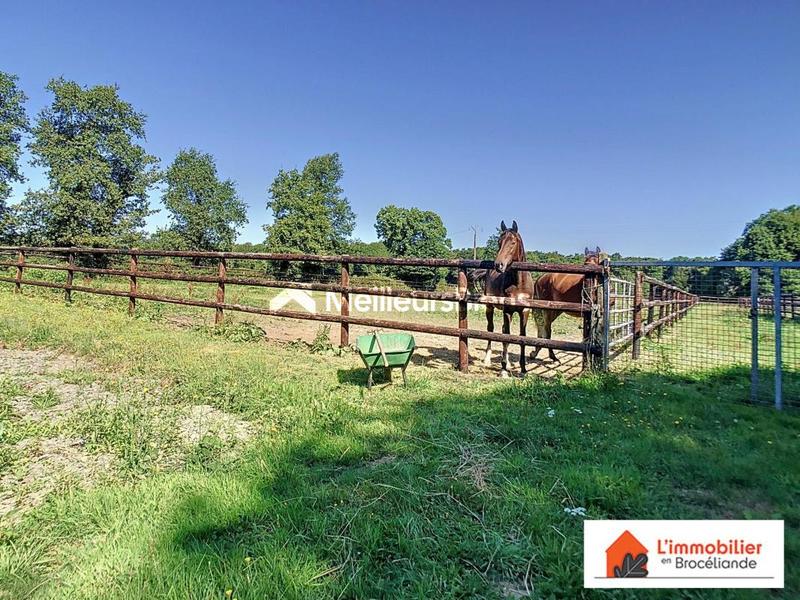 Longère - 199 m² - 5 pièces