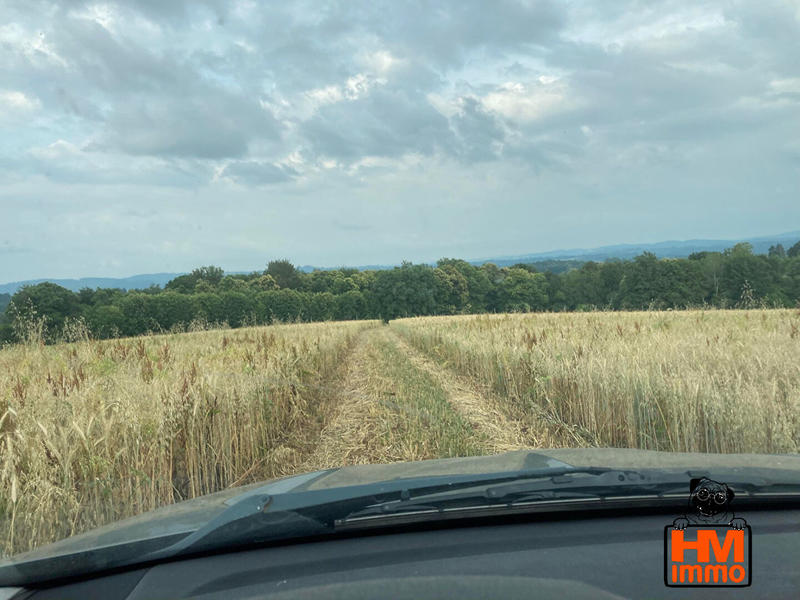 Fonds de commerce - Local commercial - 600 m²