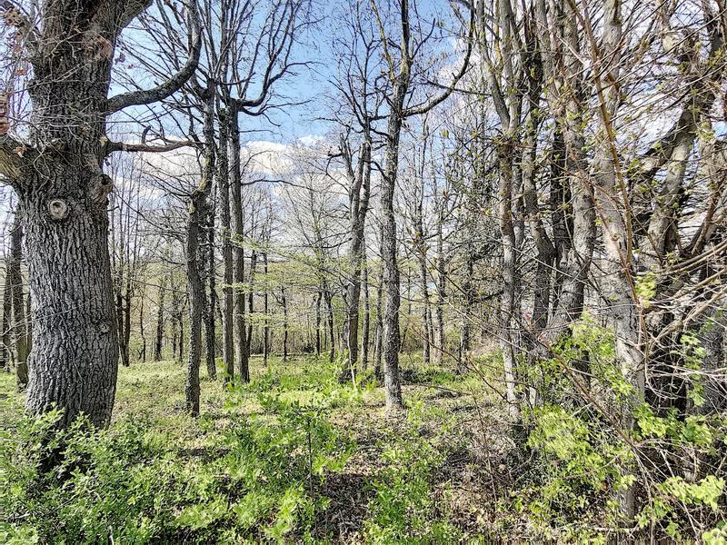 Terrain constructible - 850 m²