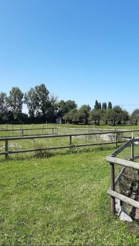 Maison chambre d'hôtes - 328 m² - 10 pièces