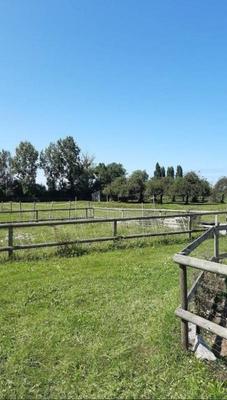 Maison chambre d'hôtes - 328 m² - 10 pièces