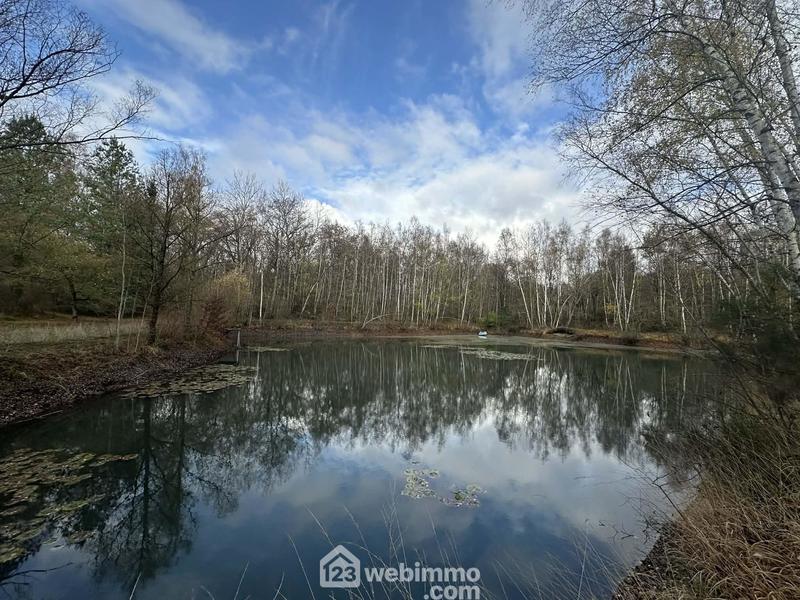 Terrain - 10 450 m²