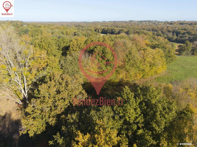 Terrain de loisirs - 9 062 m²