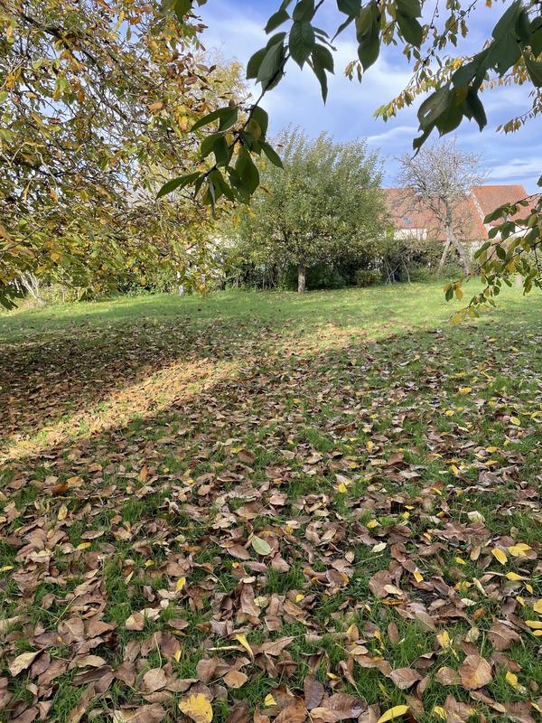 Maison - 189 m² - 10 pièces