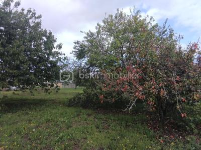 Terrain constructible - 756 m²