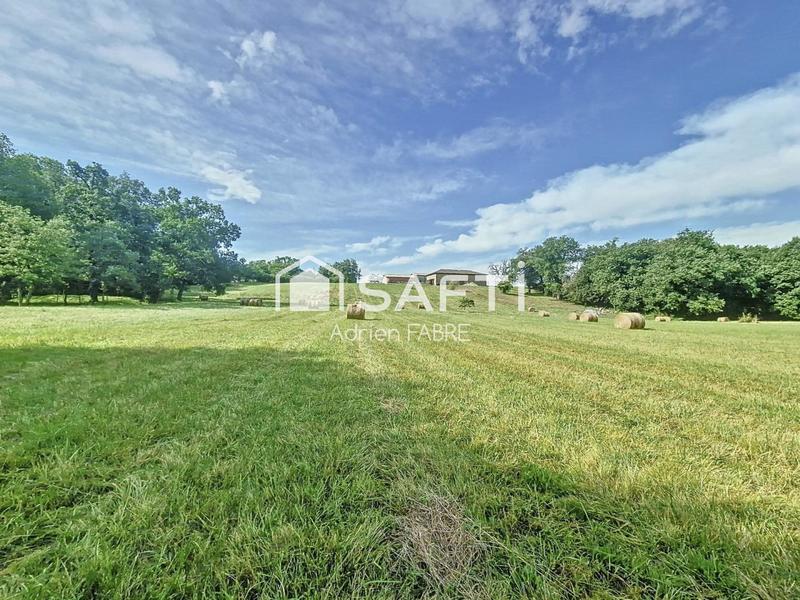 Château - 448 m² - 12 pièces