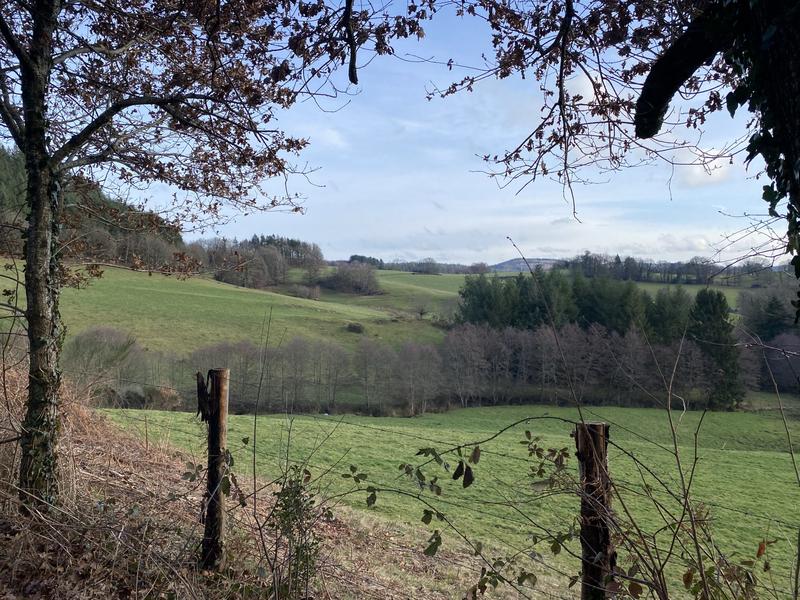 Maison - 210 m² - 7 pièces