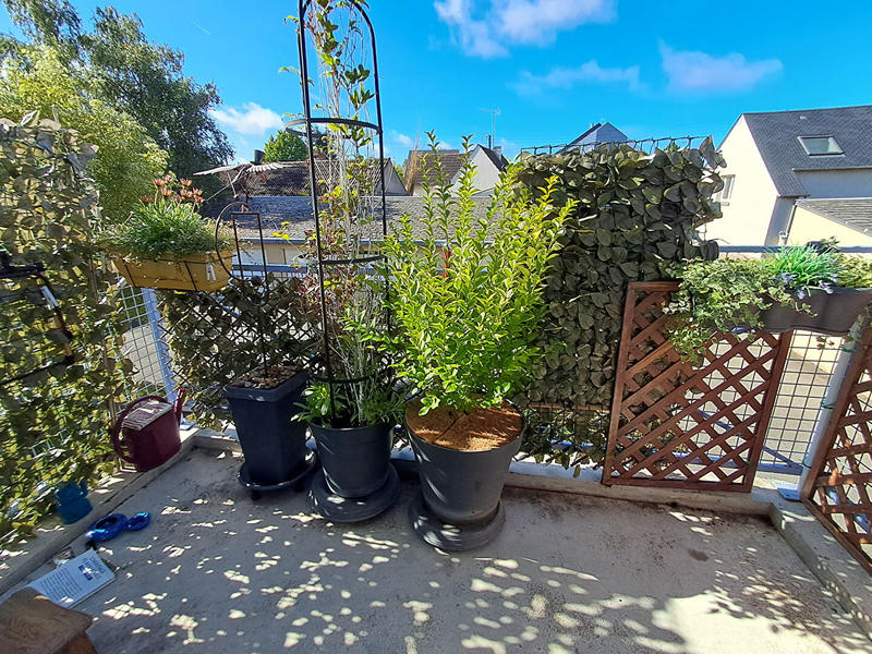 Appartement - 56 m² - 2 pièces