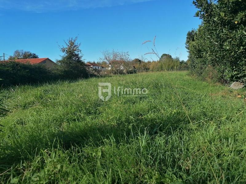 Terrain constructible - 1 525 m²