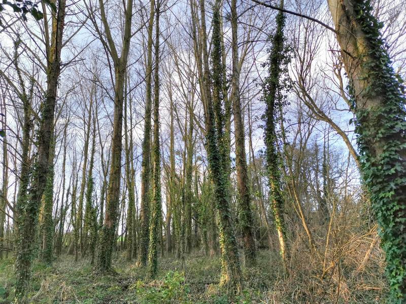 Terrain de loisirs - 14 000 m²