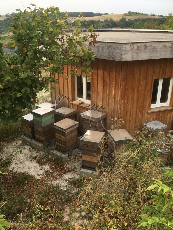 Fonds de commerce - 440 m²