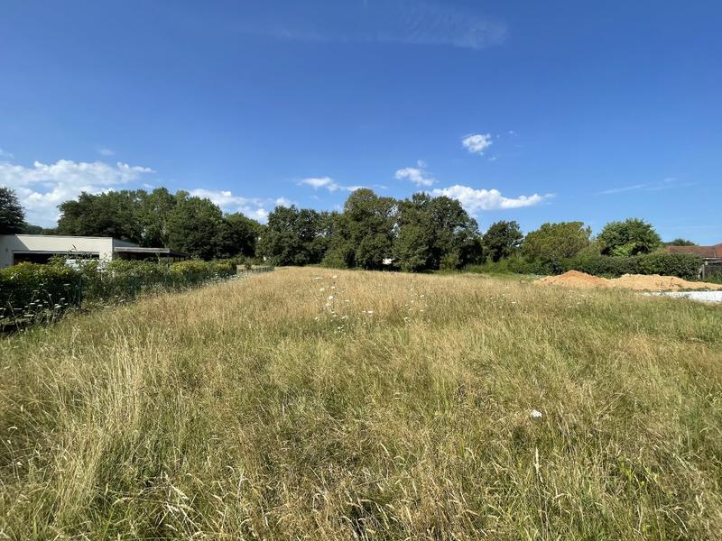 Terrain constructible - 4 500 m²