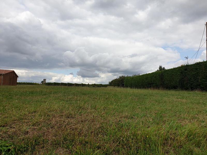 Terrain constructible - 9 900 m²