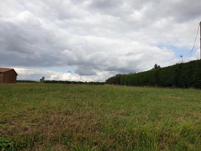 Terrain constructible - 9 900 m²