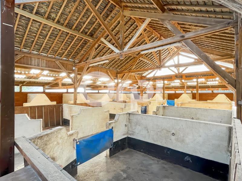 Maison - 250 m² - 7 pièces