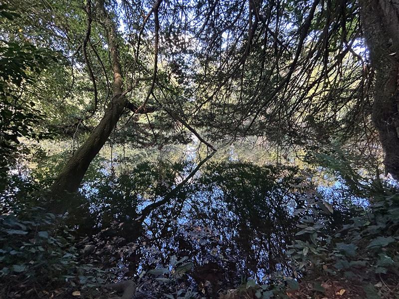 Maison - 89 m² - 5 pièces