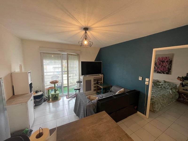 Appartement - 35 m² - 2 pièces