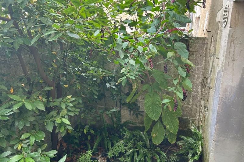 Maison - 42 m² - 3 pièces