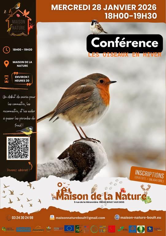 Conférence : les oiseaux en hiver