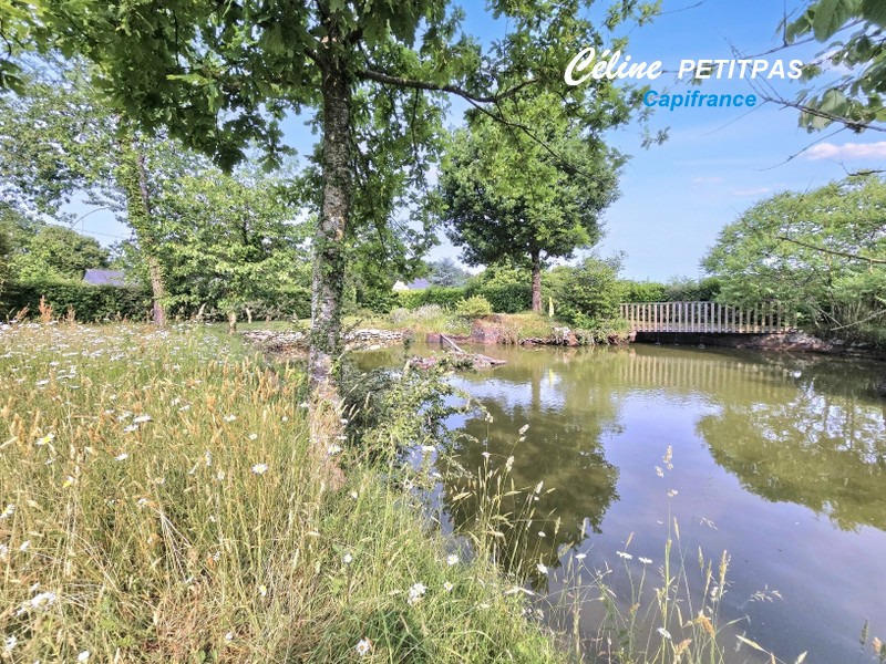 Terrain constructible - 1 240 m²