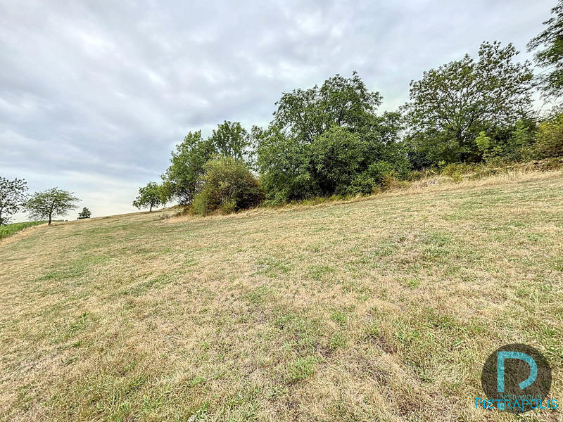 Terrain agricole - 6 055 m²