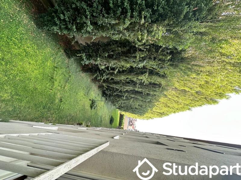 Appartement - 45 m² - 1 pièce