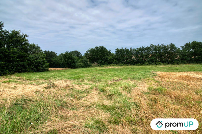 Terrain de loisirs - 7 103 m²