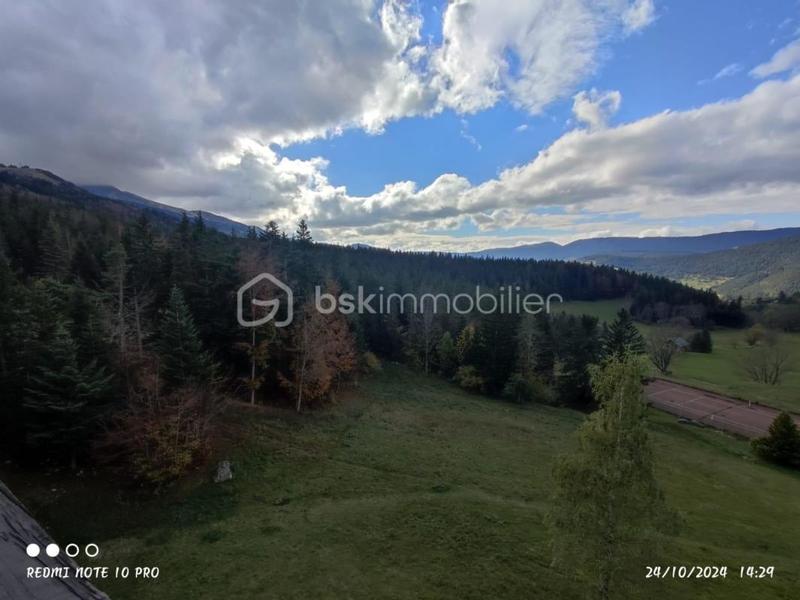 Studio - 35 m² - 1 pièce