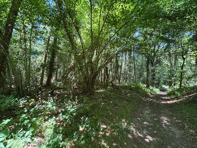 Maison - 200 m² - 5 pièces