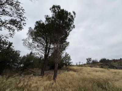 Terrain agricole - 1 590 m²
