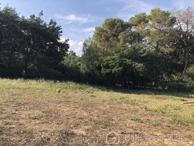 Terrain constructible - 5 450 m²