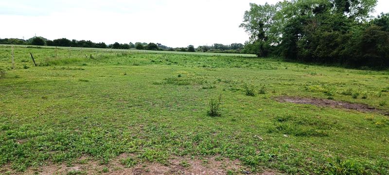 Maison - 131 m² - 6 pièces