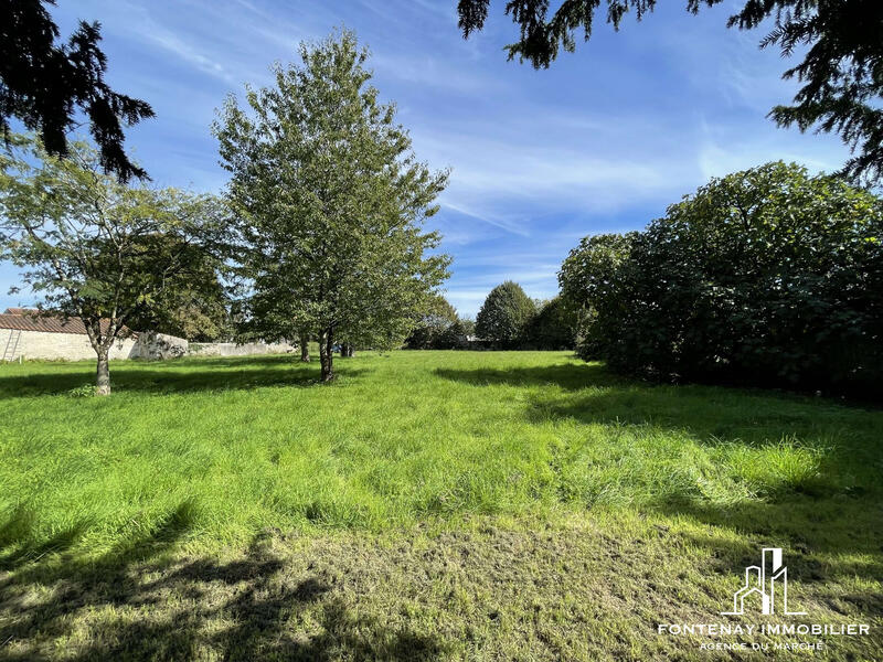 Maison - 346 m² - 11 pièces