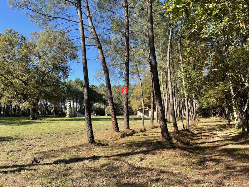 Terrain agricole - 154 100 m²