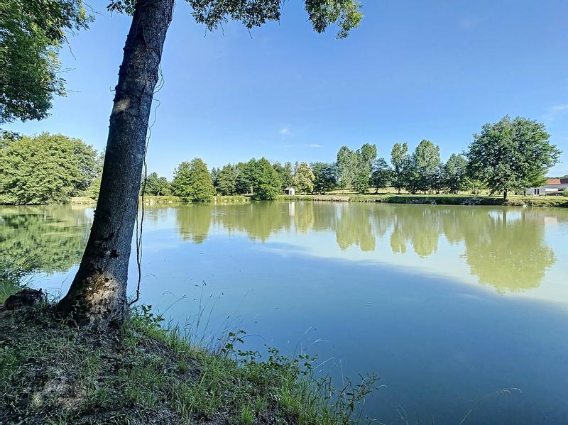 Viager - Maison ancienne - 155 m² - 5 pièces