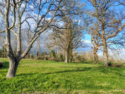 Terrain constructible - 2 825 m²