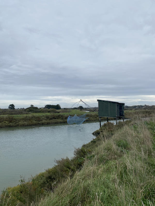 Terrain agricole - 500 m²